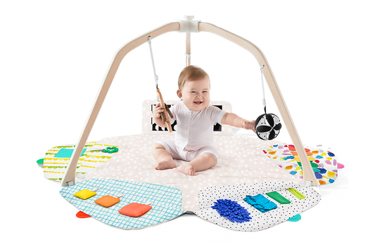 The Play Gym
