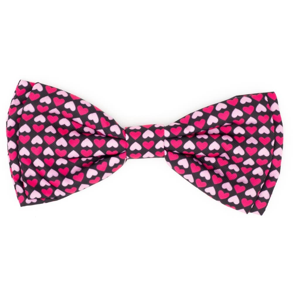 Worthy Dog - Heartthrob Bow Tie