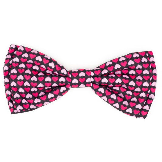 Worthy Dog - Heartthrob Bow Tie