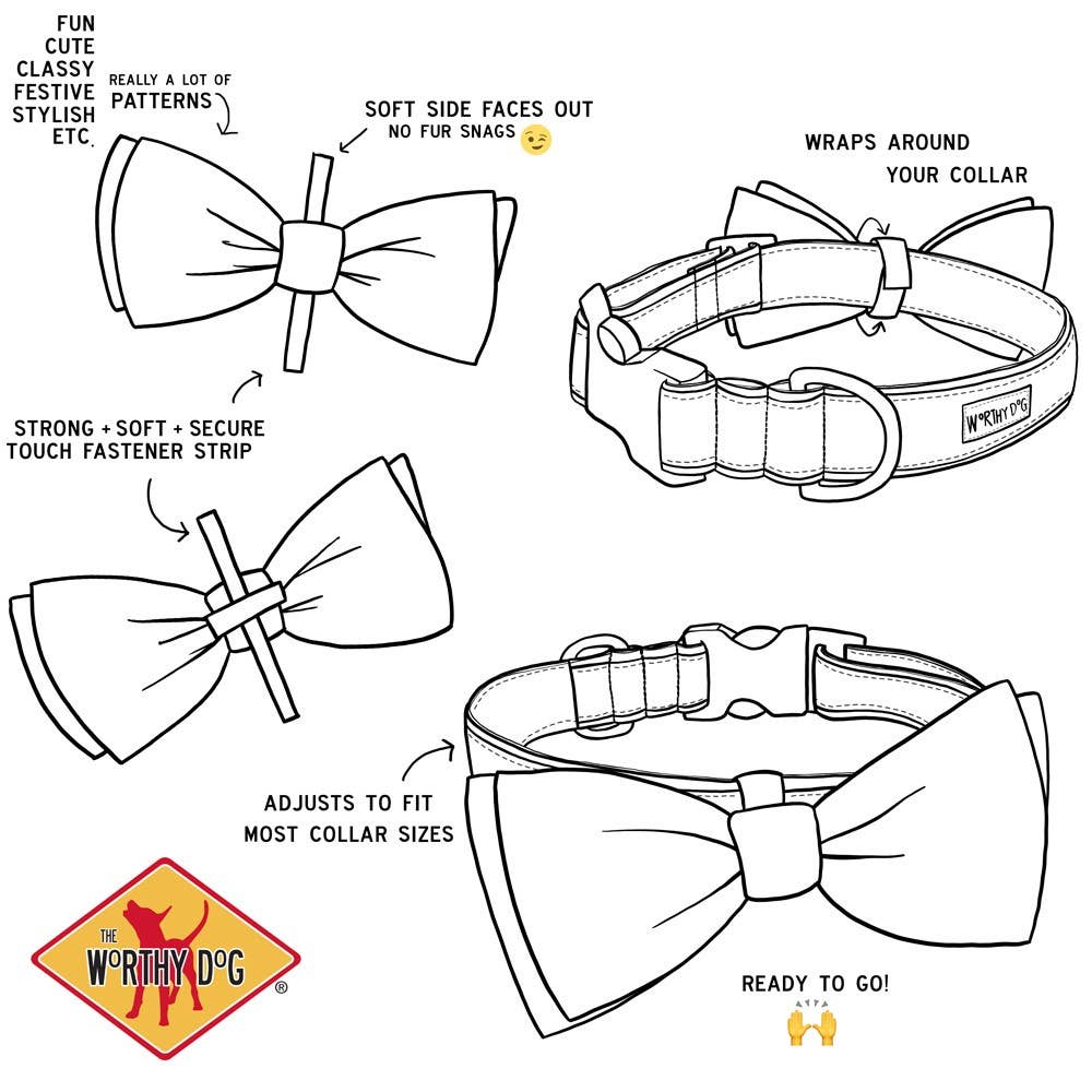 Worthy Dog- Birthday Boy Bow Tie